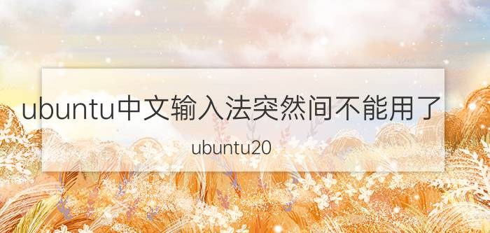 ubuntu中文输入法突然间不能用了 ubuntu20.14安装中文输入法？